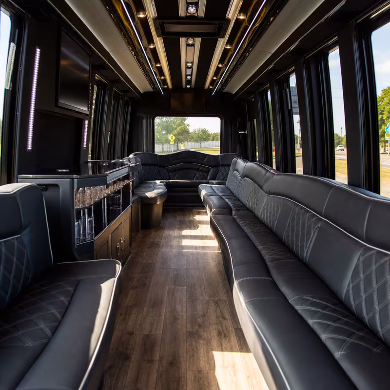 Passenger watching the New Orleans scenery during a regional party bus road trip