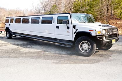 New Orleans 15 Passenger Limo