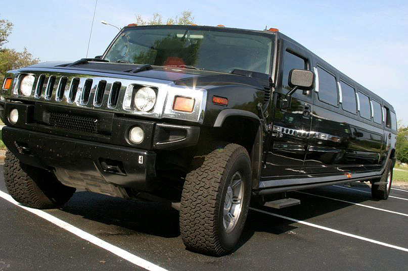 New Orleans 20 Passenger Limo